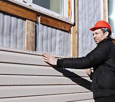 Best Historical Building Siding Restoration  in Salinas, CA